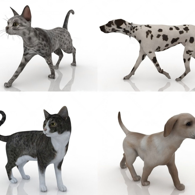 猫狗3D模型